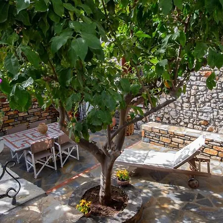 The Backyard Fisherman's House * 卡托加兹阿